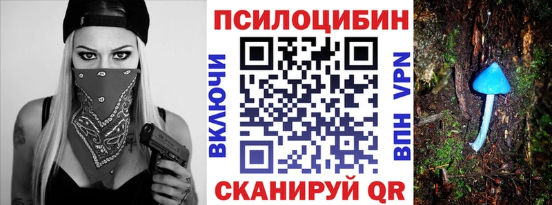 закладка  mega ссылки  Псилоцибиновые грибы Cubensis  Лангепас 